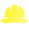 Developer
