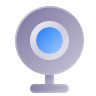 Webcam Roulette
